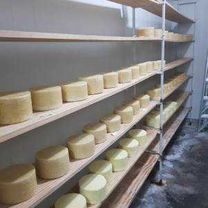 Kahikatea Cheese Racks Frames 1