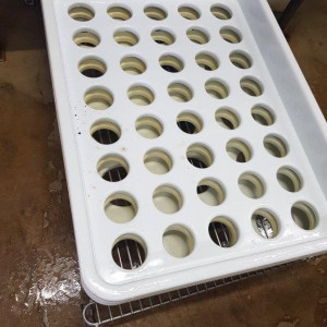 PLastic Distributors