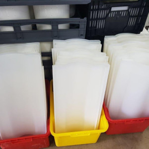 Plastic Cheese Trays 1